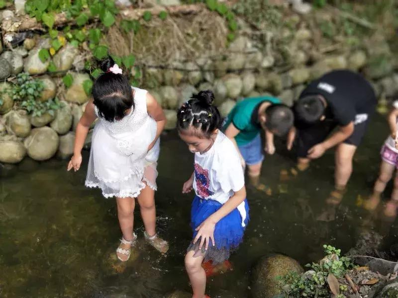 都江堰景区钓鱼地点推荐,都江堰垂钓好去处