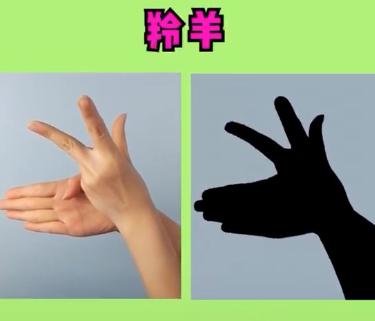 宝宝睡前玩的手影游戏,儿童手脑协调游戏
