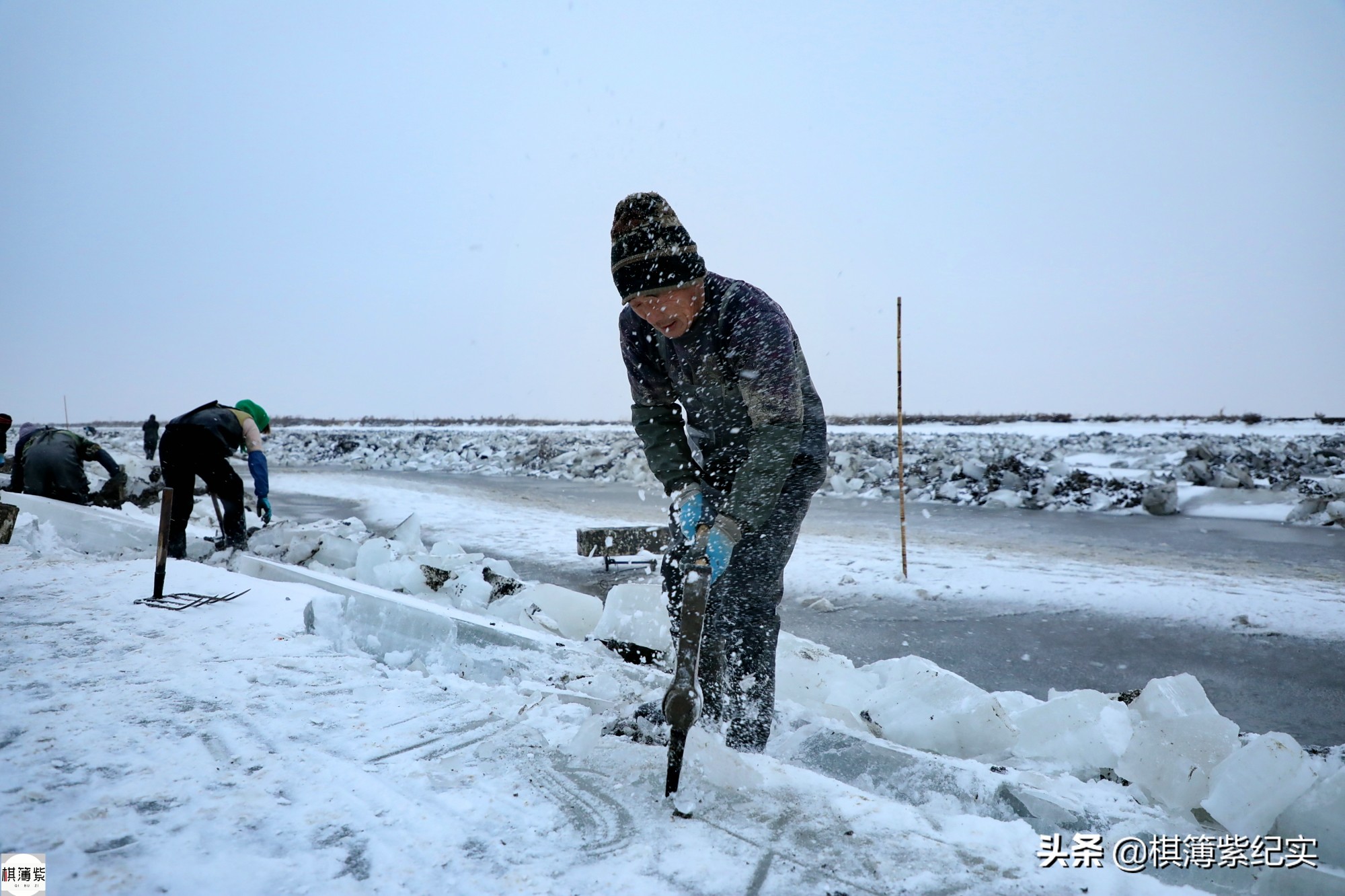 挖竹节蛏挣钱,赶海抓蛏子一天能赚多少钱