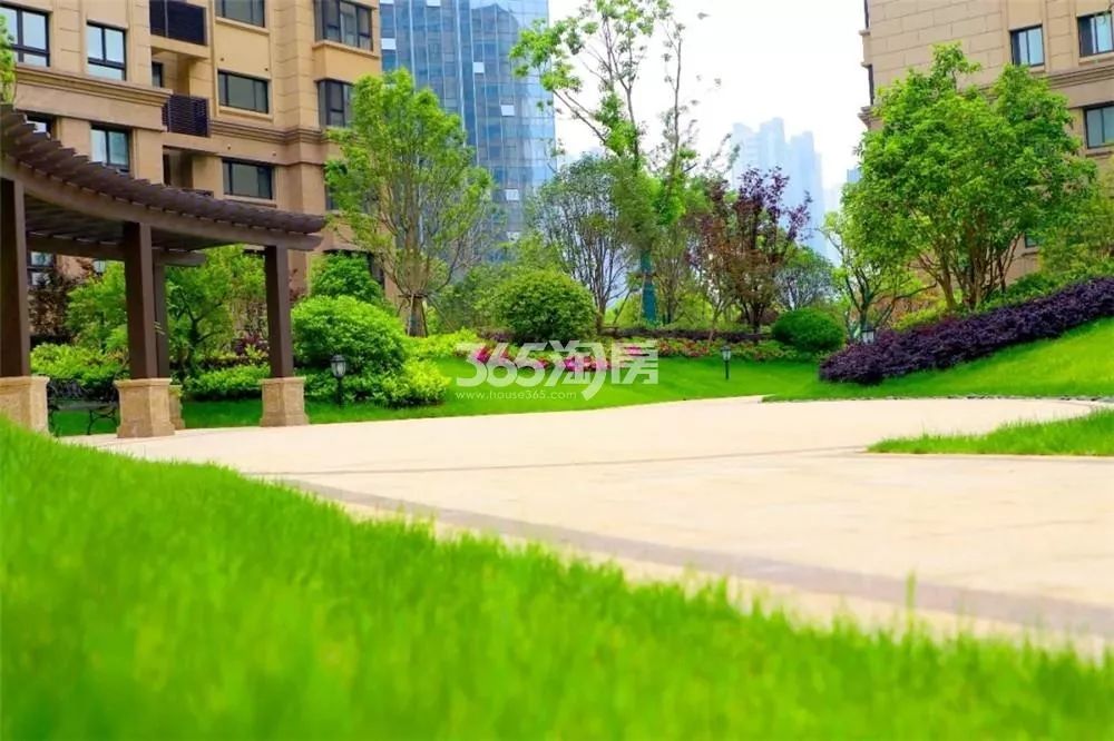 中华新城最新视频,最新河西新城消息