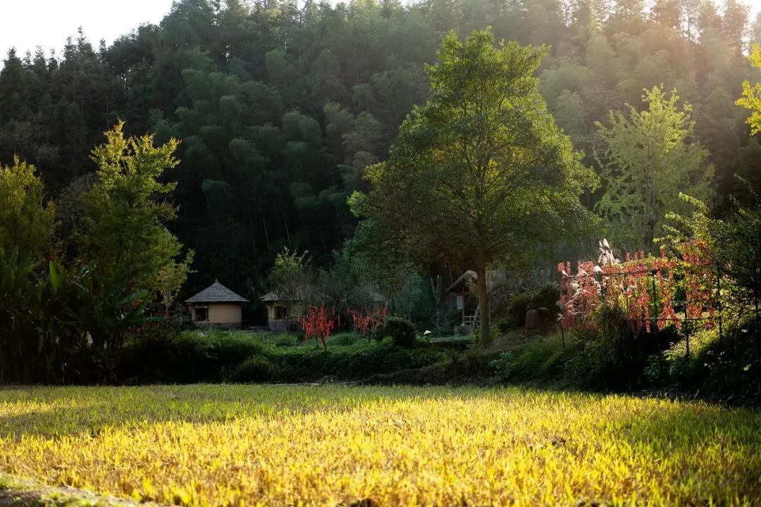 关于长安地名诗句,古代长安城古风诗句有哪些