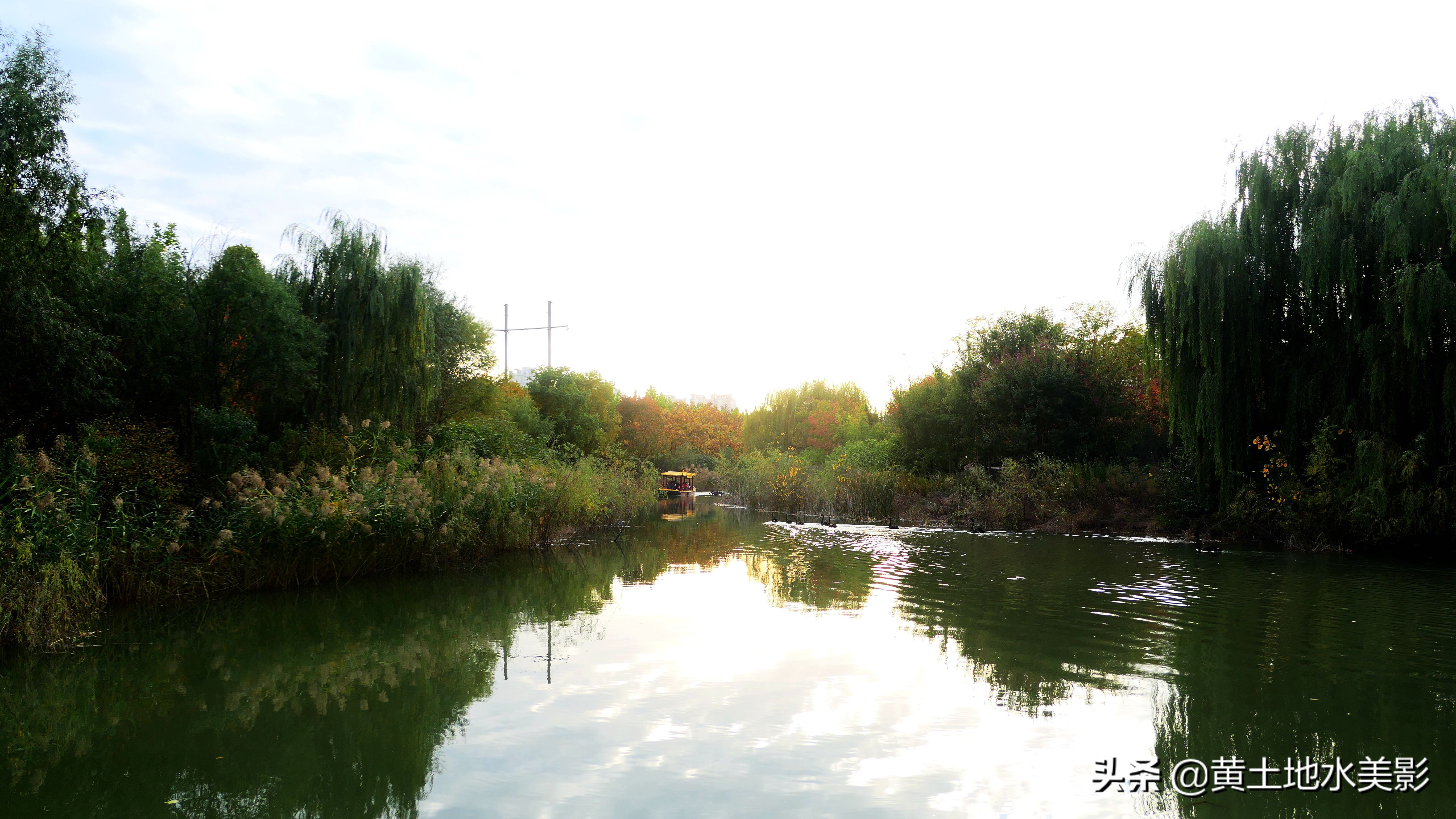 免费游玩东湖公园攻略,游玩国家湿地野鸭湖