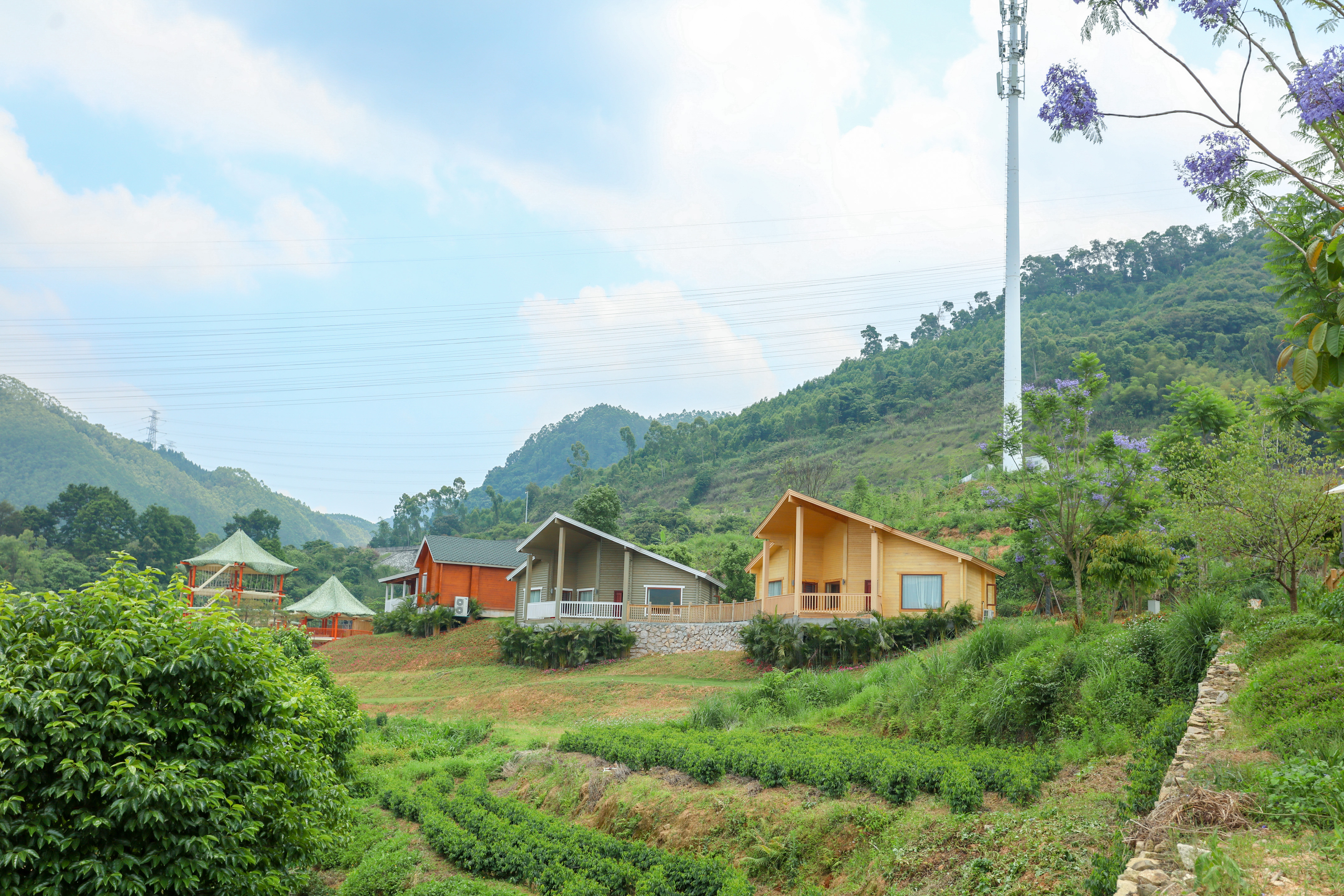 向往诗和远方周边游,向往诗与远方