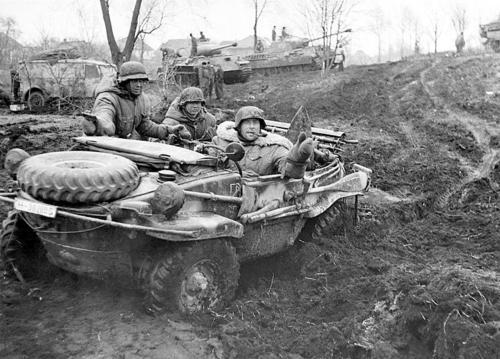 青蛙头的车叫什么车,青蛙形状的车