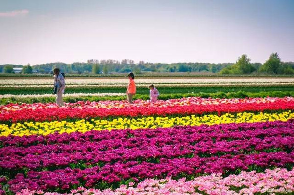 瑞士富得流油,爱尔兰是一个不允许离婚的国家吗