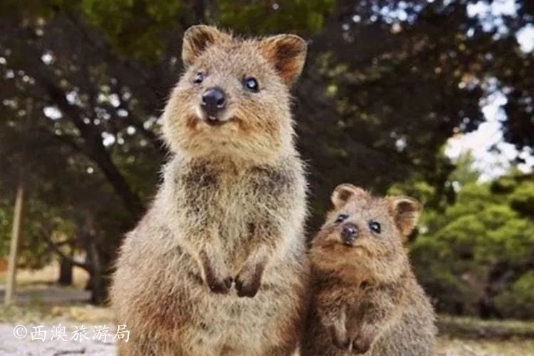 汇率起起伏伏，自然旅行跟着这张表格走，最划算