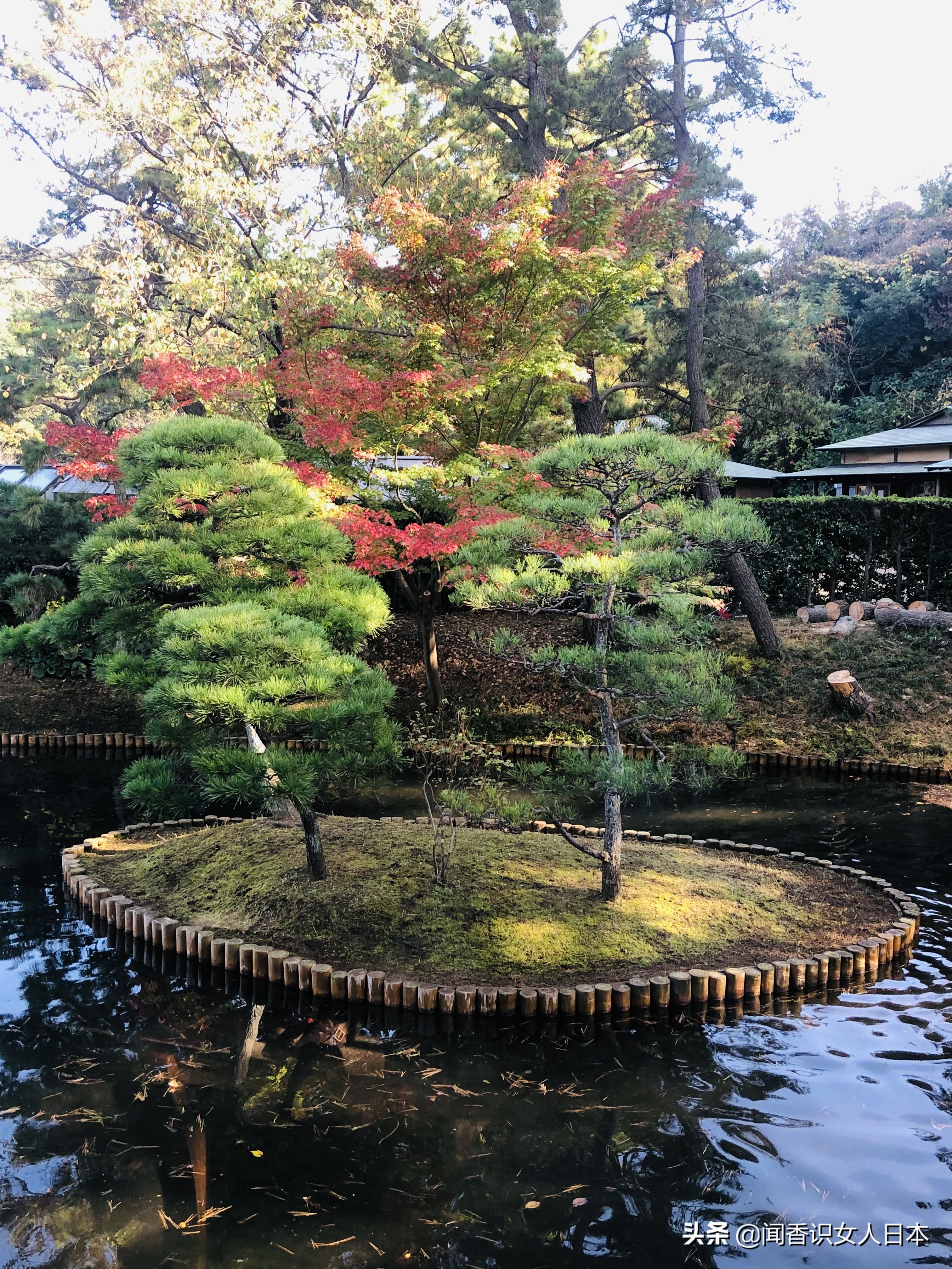 横滨三溪园,横滨三溪园介绍