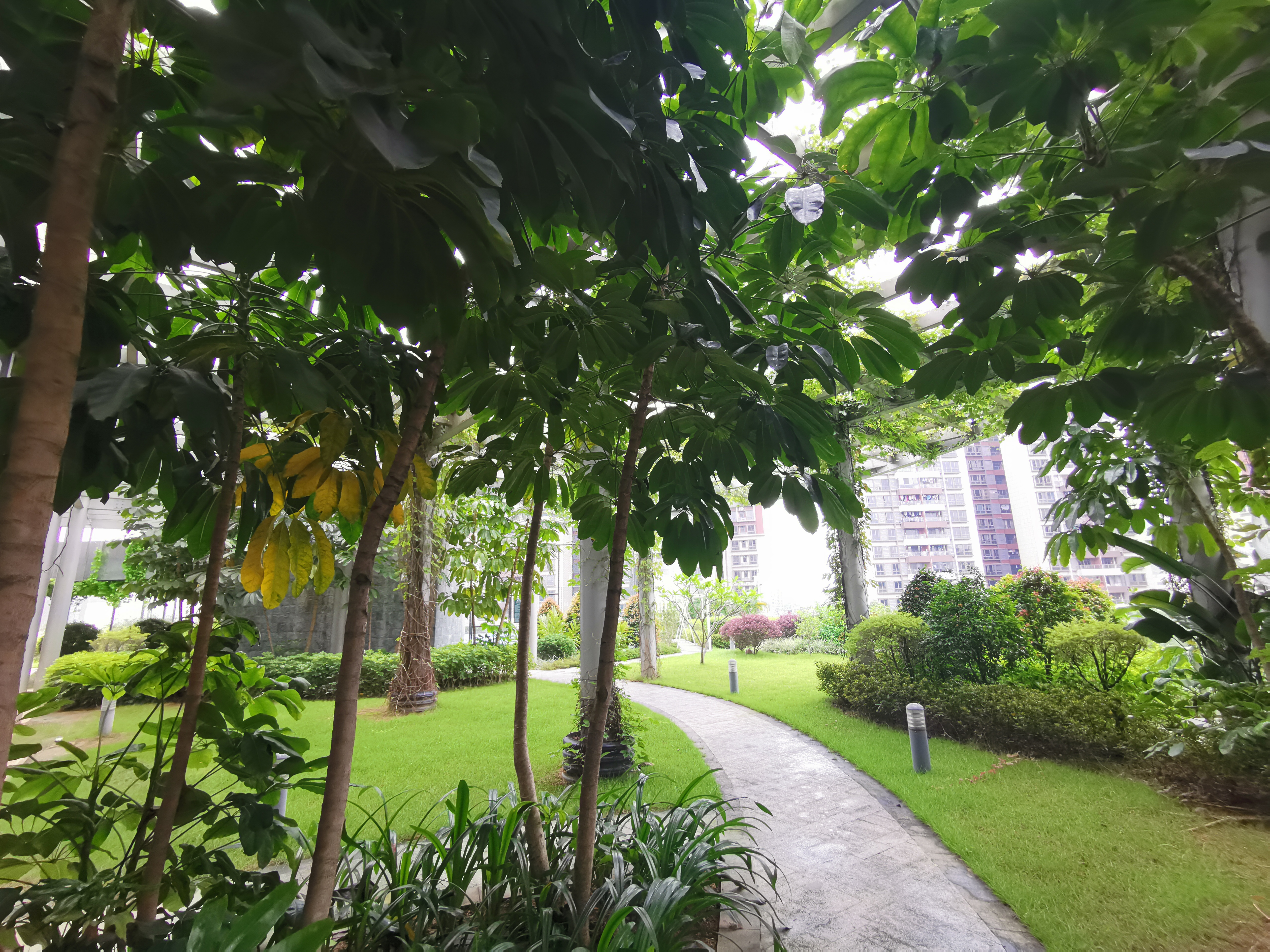 广州汇华希尔顿逸林酒店月饼,广州汇华希尔顿逸林酒店自助餐厅