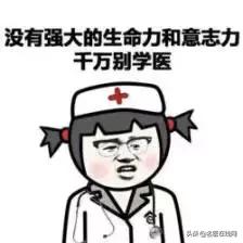 韭菜是否能补肾,韭菜能补肾