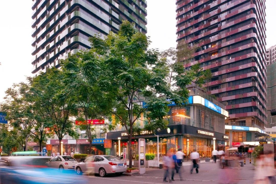 der视频专访丨对话维思平陈凌：行走城市的实践者