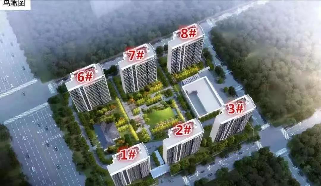 禄口房地产最新消息,禄口楼市