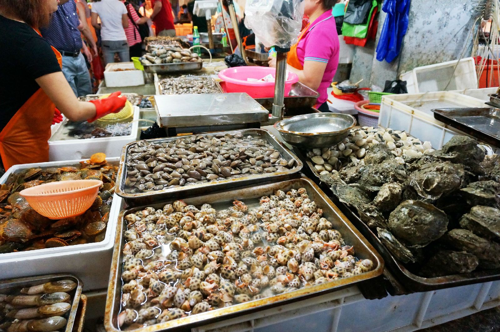 海南自驾租车推荐车型最新,海南517驿站租车价格表