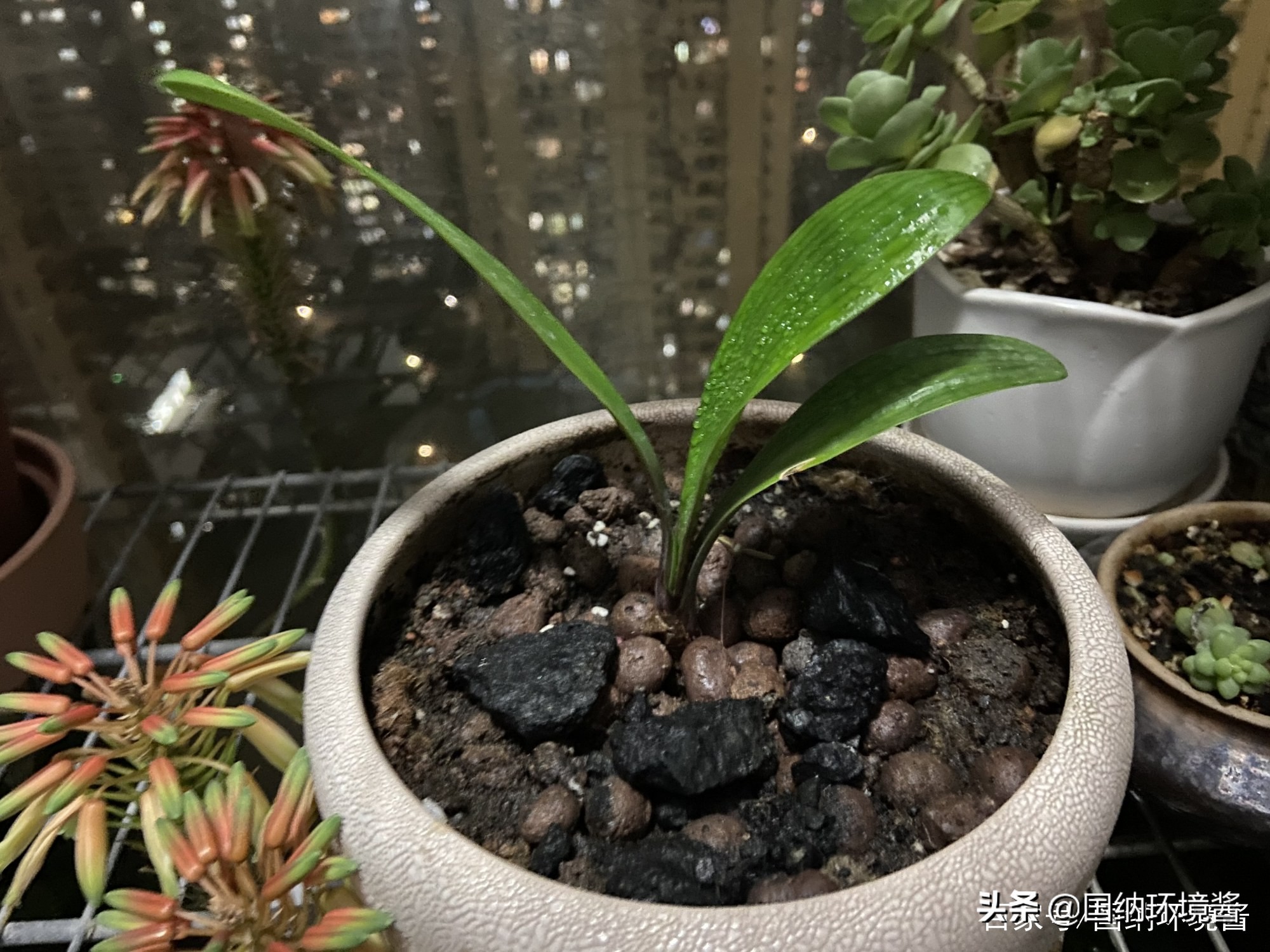 室内空气净化除甲醛治理方案,室内空气净化甲醛治理方案