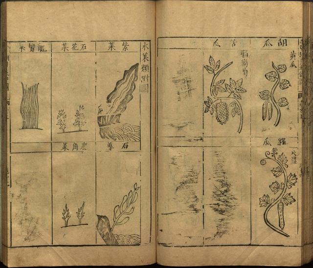 本草纲目中插图是李时珍画的吗,本草纲目李时珍插图