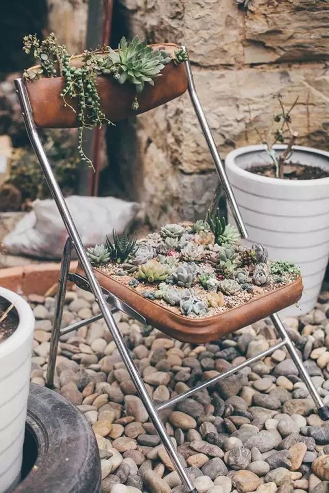 10000块能做点什么,10000块钱能做什么