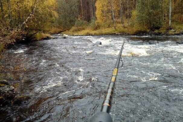 阿勒泰地区,追寻这种冷水溪流中的精灵“花翅子”现在已经禁钓