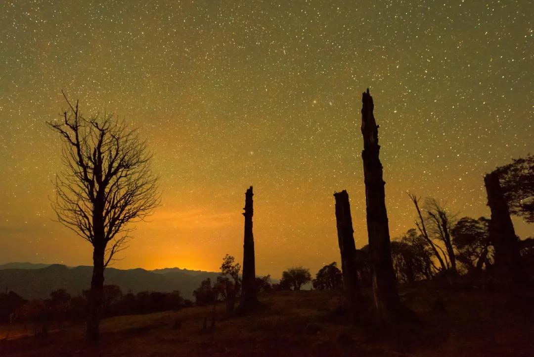 2024攀枝花旅游,攀枝花旅行榜单