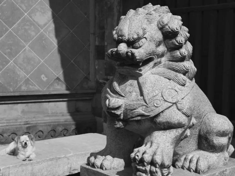 苏州旅游攻略元旦适合去吗,元旦旅游推荐苏州周边景点