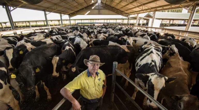 蒙牛在澳洲收购哪个公司,蒙牛为什么要收购澳洲乳企