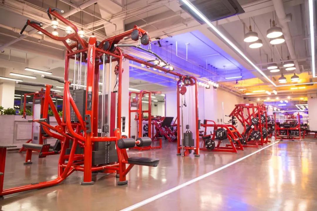 dms竞技核心训练营,专业健美训练营