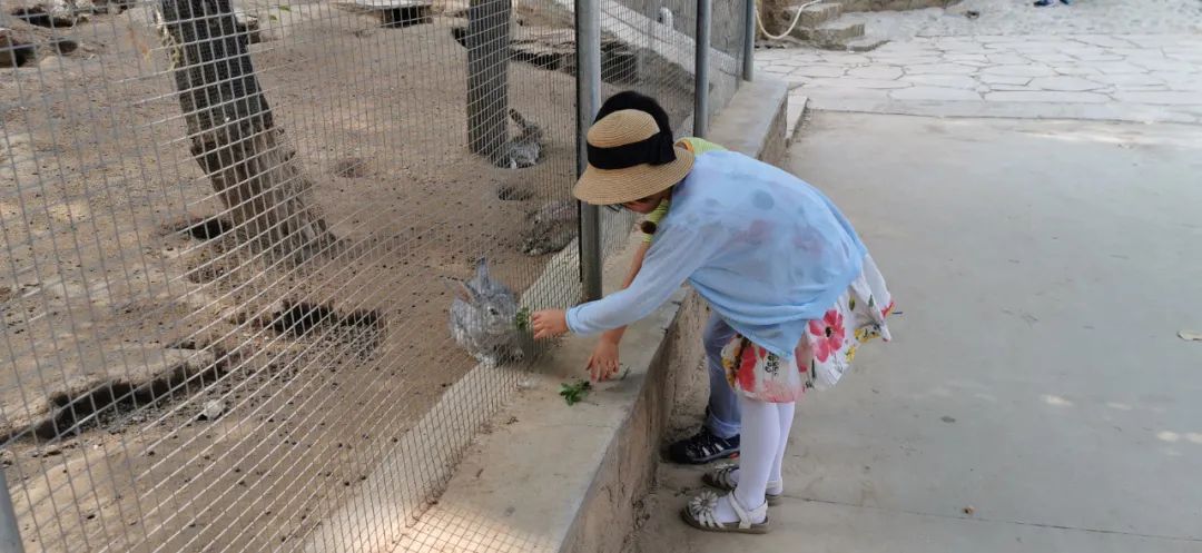 济南适合遛娃的免费去处,济南冬季遛娃免费攻略