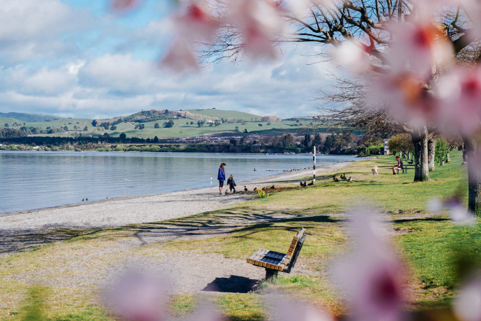 新西兰｜在首屈一指的滑雪胜地，与黑天鹅一起戏水