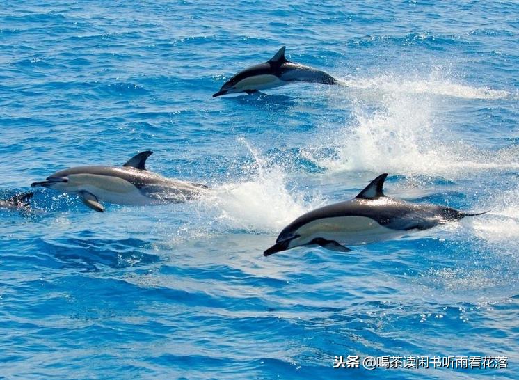 13天自驾新西兰，这个不缺蓝天与绿草的国度无比的热情富有生命力