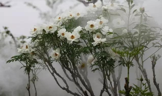 中国县城现状深入调查,中国县城现状原文