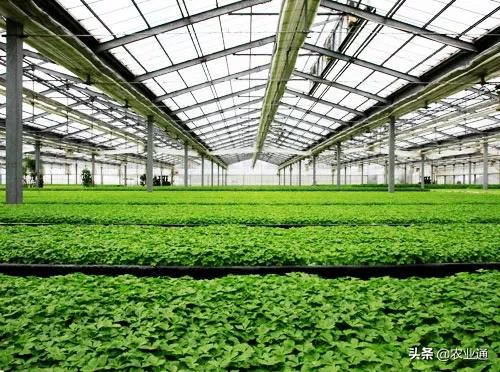 最新的温室大棚技术,小型温室大棚用什么样的大棚