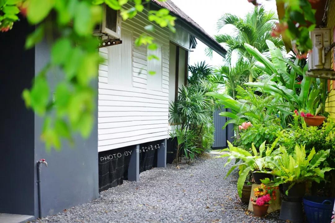 美国艺术家老夫妇定居苏梅岛十年，教游客画垃圾桶，唤醒环保意识