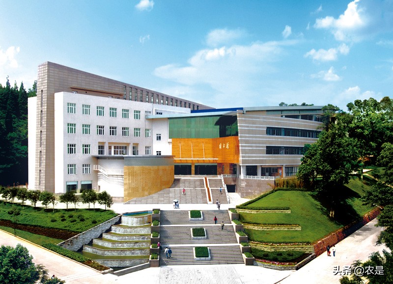 杜晓惠（女），四川农业大学教授、博士，家禽遗传育种与繁殖专家