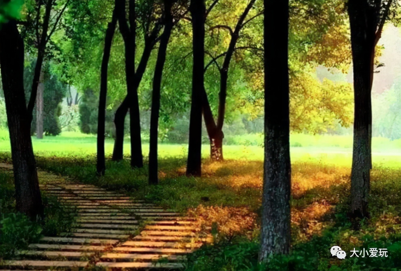 北京红螺寺银杏最佳观赏时间,北京赏银杏景区有哪些