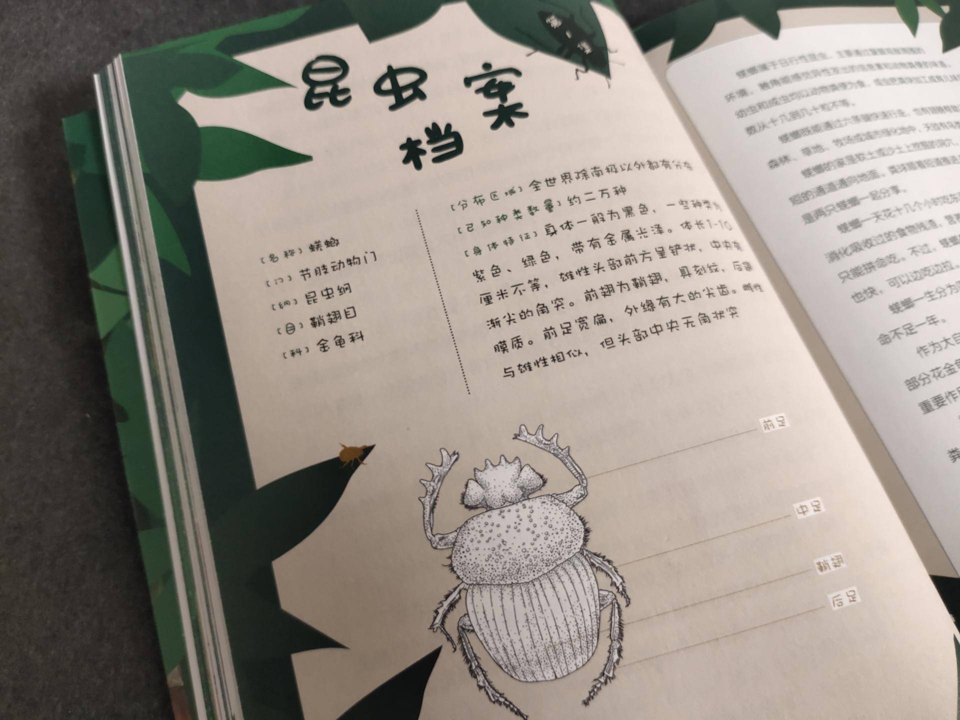 适合陪小孩一起看的书,适合孩子读的童书