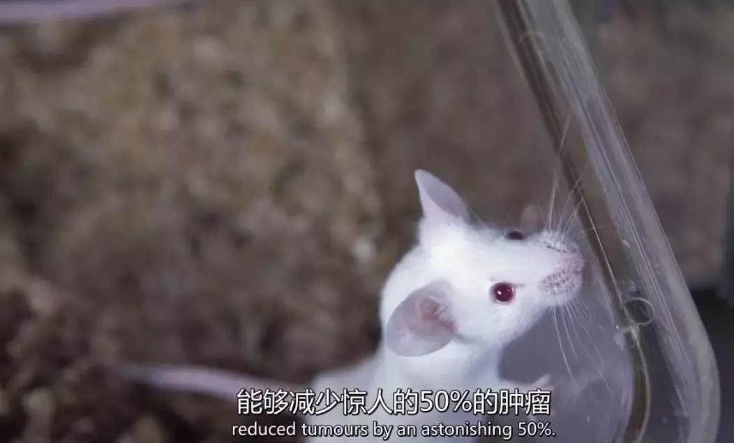 维生素过量或致癌维生素防癌,目前公认的可以预防癌症的维生素