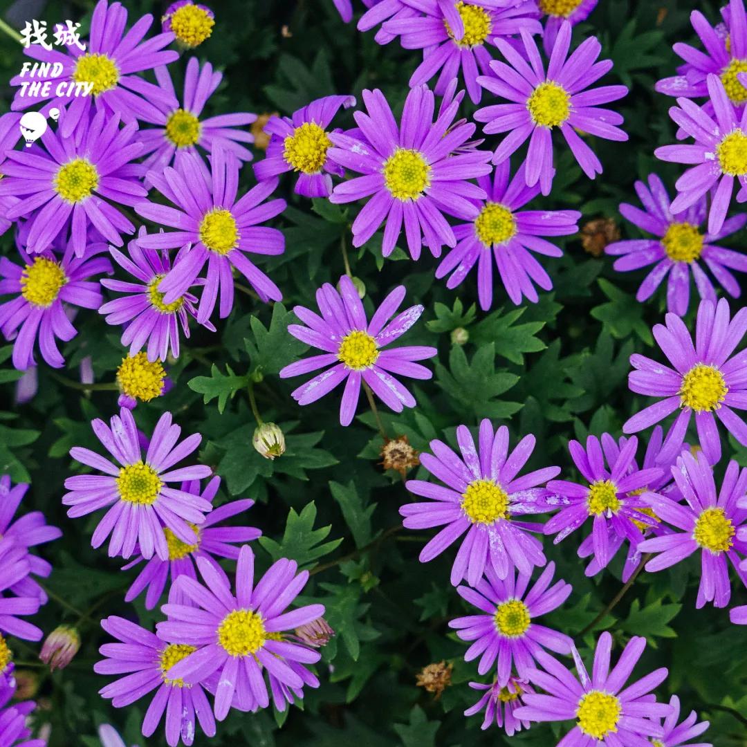 南宁最好的批发市场,南宁最便宜的家具批发市场在哪里