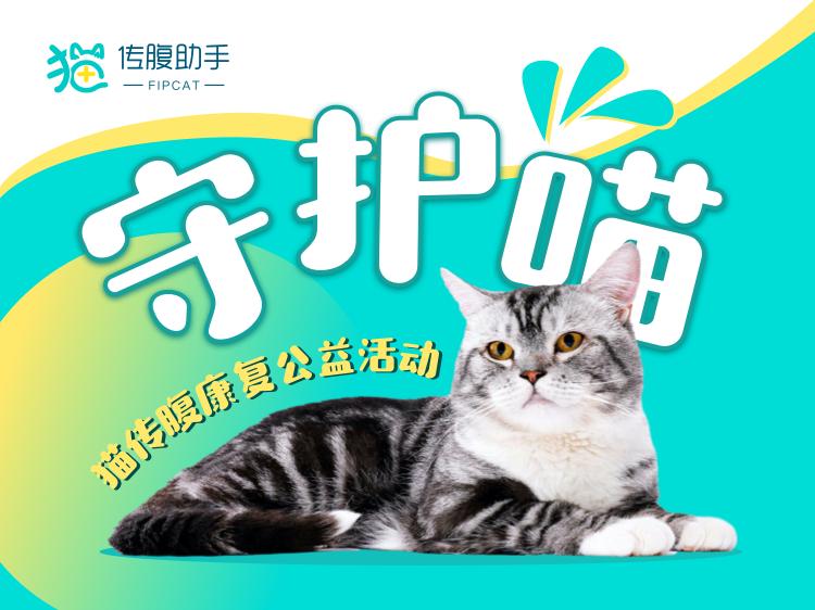 猫腹水和猫传腹还傻傻分不清楚 (腹水和猫传腹区别)