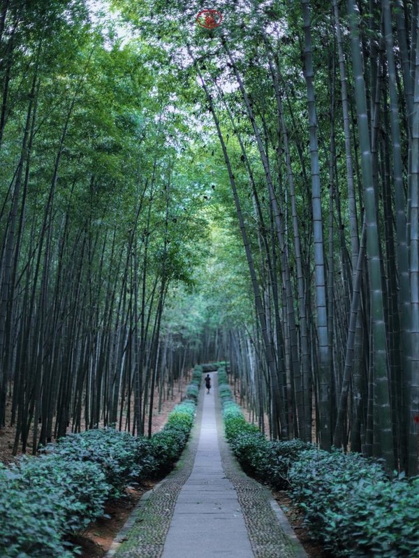 桐庐夜游富春山居景区,桐庐富春江夜游和白天游