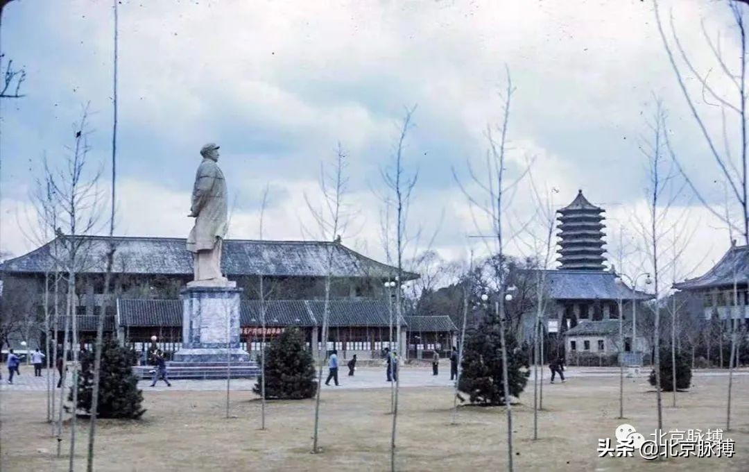 记忆中的北京绘画,这些画最能还原真实的老北京