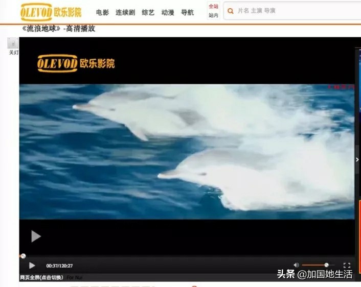 在国外追剧网站,海外党看电视剧