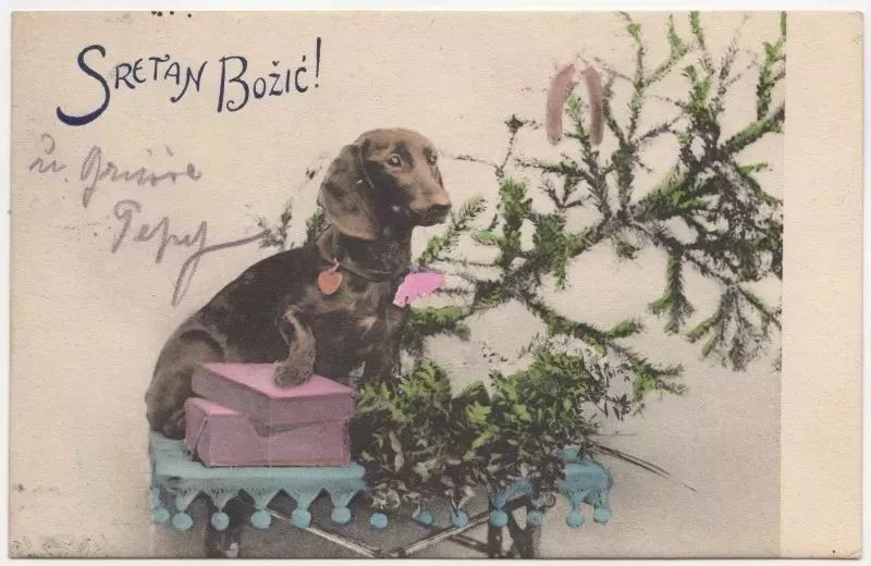 圣诞节贺卡简单的祝福语,圣诞节送老师的贺卡怎么做