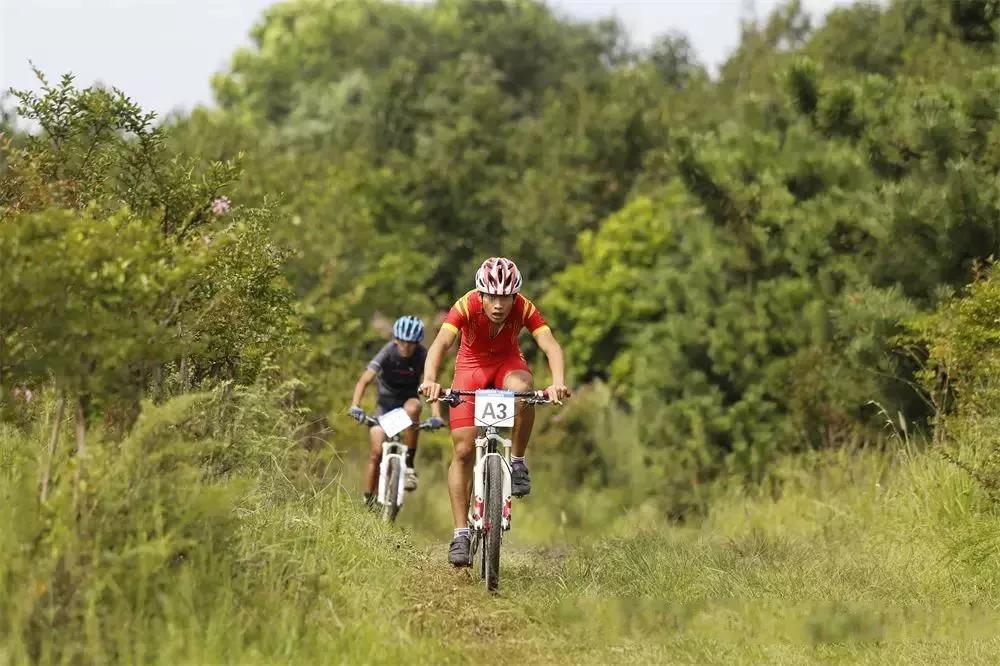 日照山海天海洋美学,日照山海天建设新闻