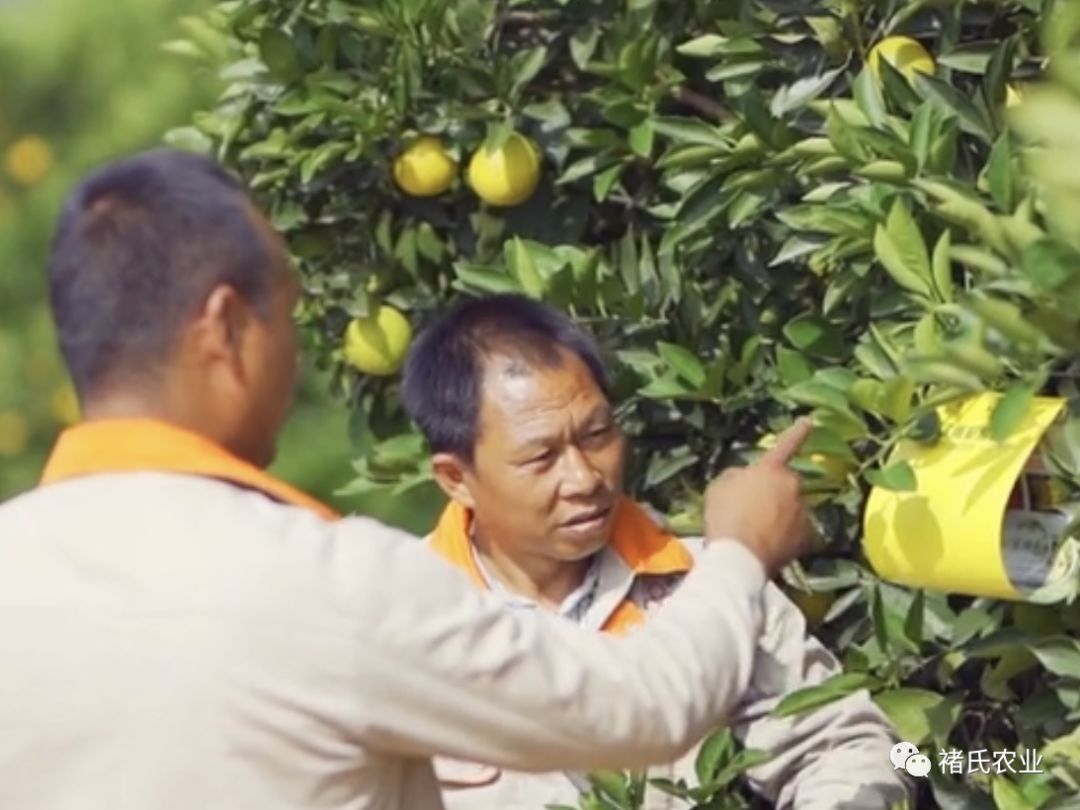 老木匠手艺人,老木匠原木工艺