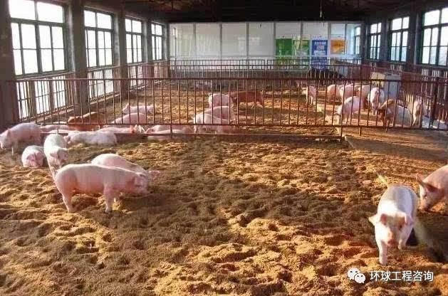 畜禽粪便无害化处理和资源化利用,禽畜粪便无害化处理可行性报告