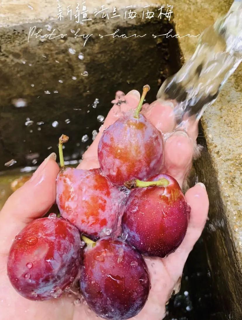 很好看的国货品牌,好吃的国货良心推荐