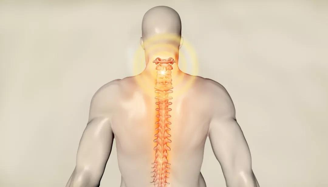 颈椎病分10级,颈椎病可以分为六种类型