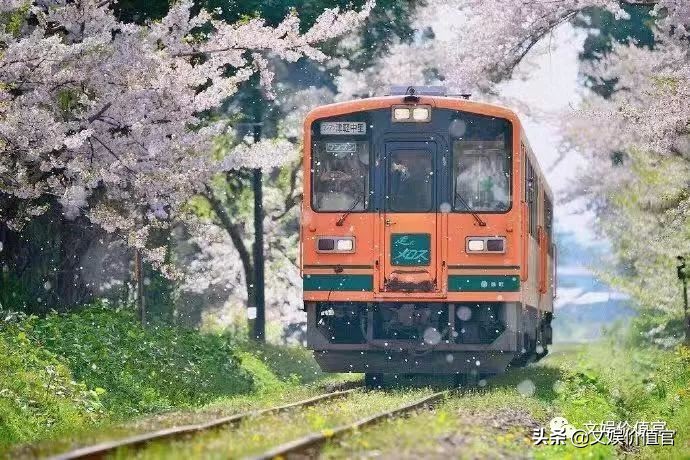 成赵薇闺蜜、和流量小生下午茶的文娱大咖,是被谁劝退的?