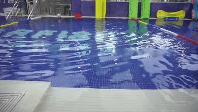 徐州高端亲子游泳，唯一入驻水立方，饮用水标准，国家级教练坐镇