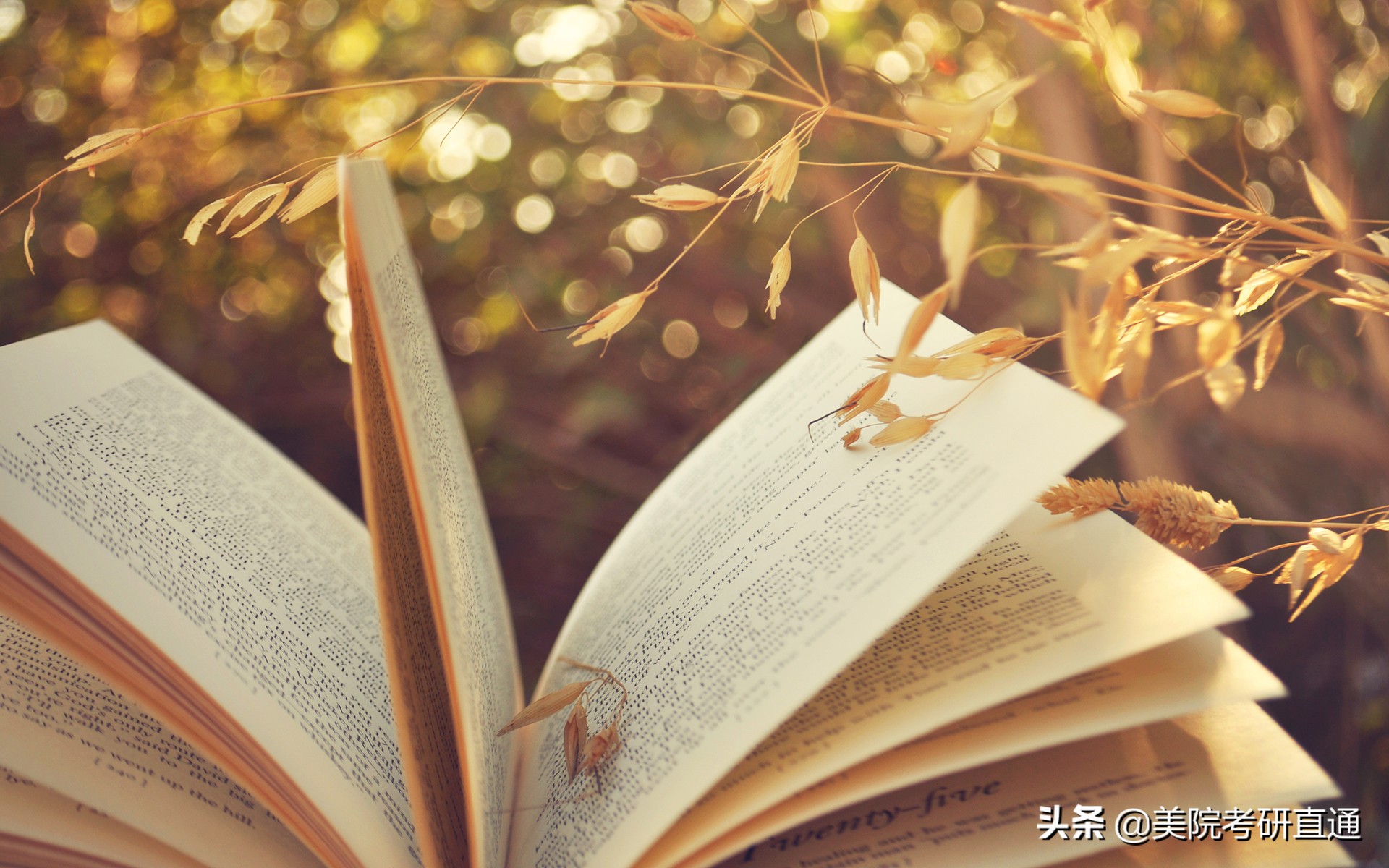 西安美术学院考研公办学费多少,西安美术学院考研科目分值