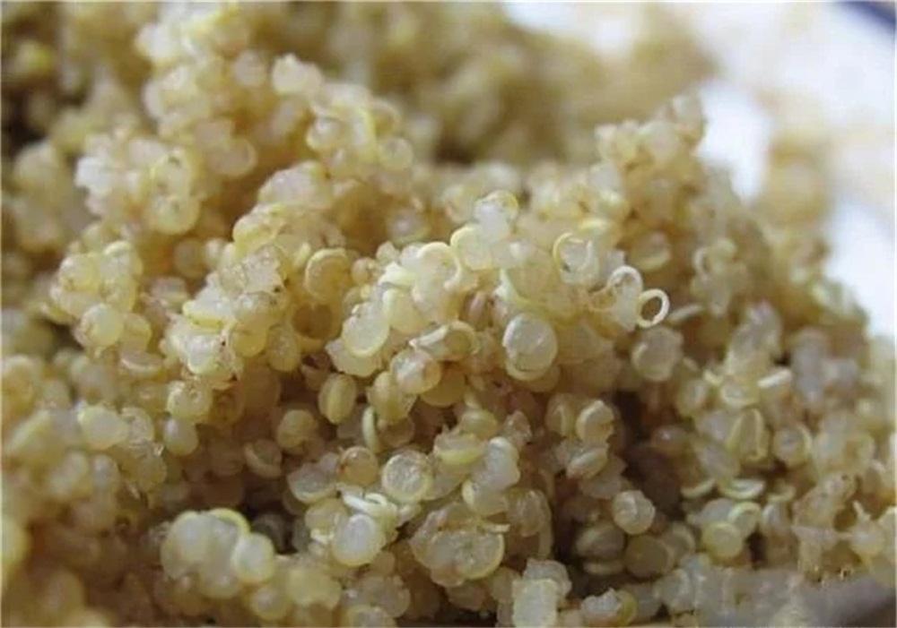 酿酒设备怎样酿造养生酒,口感最好的酿酒工艺设备