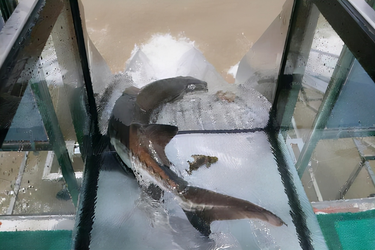 鍙戠數姘村簱鍏婚奔,鍙戠數姘村簱